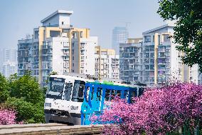 A Train Bound For Spring in Chongqing