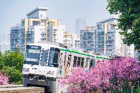 A Train Bound For Spring in Chongqing