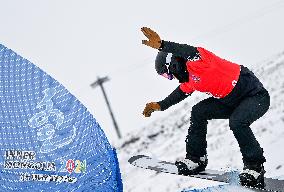 (SP)CHINA-INNER MONGOLIA-ULANQAB-14TH NATIONAL WINTER GAMES-SNOWBOARD-CROSS-MIXED TEAM (CN)