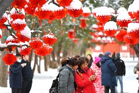 Snow Tour in Beijing