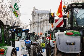 Farmers Protest - Madrid