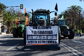 Hundreds Of Farmers Take To The Centre Of Malaga With Their Tractors