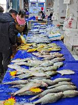 Chinese Seafood Market