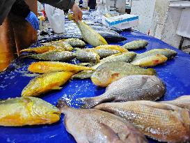 Chinese Seafood Market