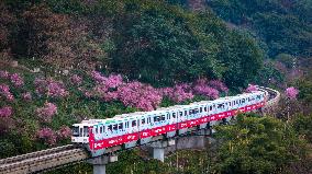 A Train Bound For Spring