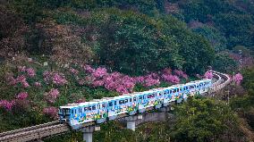 A Train Bound For Spring