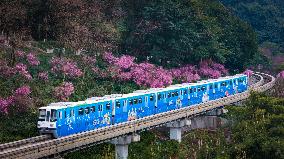 A Train Bound For Spring