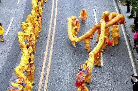 Rural Dragon Dance Performances