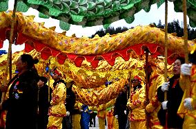 Rural Dragon Dance Performances