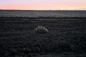 Soldiers of 65th separate mechanized brigade together with adjacent units defend Ukraine in Zaporizhzhia sector