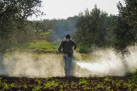 Combatting Agricultural Pests With Pesticides