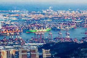 Qianwan Container Terminal at Qingdao Port