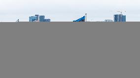 Estonian flag at Pikk Hermann tower