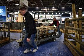 Installation Of International Agricultural Fair - Paris
