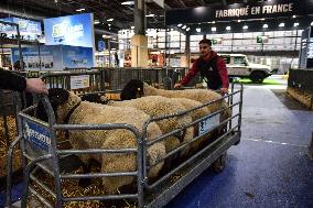 Installation Of International Agricultural Fair - Paris