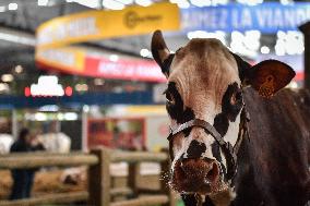 Installation Of International Agricultural Fair - Paris