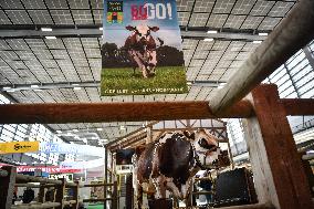 Installation Of International Agricultural Fair - Paris