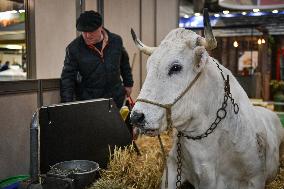 Installation Of International Agricultural Fair - Paris