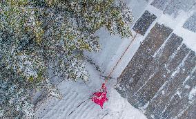 Agriculture During The Cold Wave in Suqian