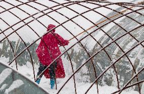 Agriculture During The Cold Wave in Suqian