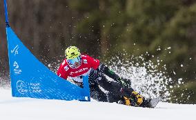 FIS Snowboard World Cup