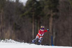 FIS Snowboard World Cup