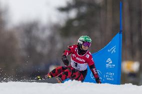 FIS Snowboard World Cup