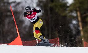 FIS Snowboard World Cup