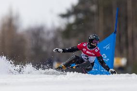 FIS Snowboard World Cup