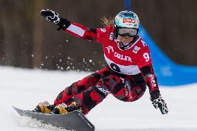 FIS Snowboard World Cup