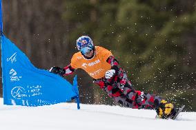 FIS Snowboard World Cup