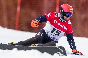 FIS Snowboard World Cup