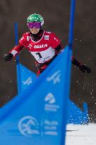 FIS Snowboard World Cup