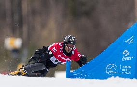 FIS Snowboard World Cup