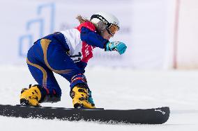 FIS Snowboard World Cup