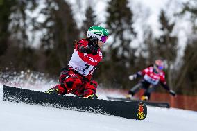 FIS Snowboard World Cup