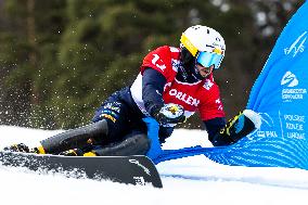 FIS Snowboard World Cup