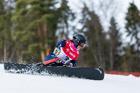 FIS Snowboard World Cup