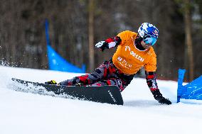 FIS Snowboard World Cup