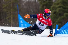 FIS Snowboard World Cup