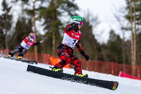 FIS Snowboard World Cup