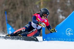 FIS Snowboard World Cup