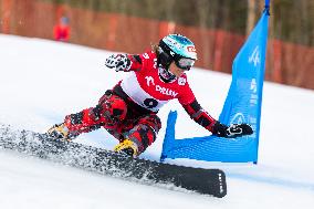 FIS Snowboard World Cup