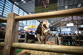 Jordan Bardella Visits Agricultural Fair - Paris