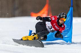 FIS Snowboard World Cup 2024 In Krynica