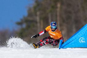 FIS Snowboard World Cup 2024 In Krynica