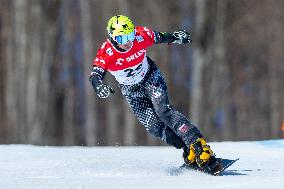 FIS Snowboard World Cup 2024 In Krynica