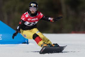 FIS Snowboard World Cup