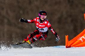 FIS Snowboard World Cup 2024 In Krynica