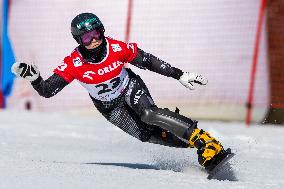 FIS Snowboard World Cup 2024 In Krynica